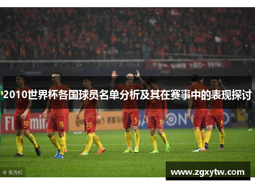 2010世界杯各国球员名单分析及其在赛事中的表现探讨